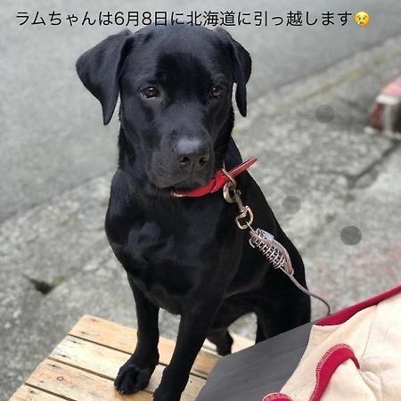 Hakone Guesthouse Toi Zewnętrze zdjęcie
