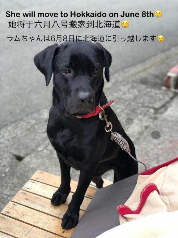 Hakone Guesthouse Toi Zewnętrze zdjęcie