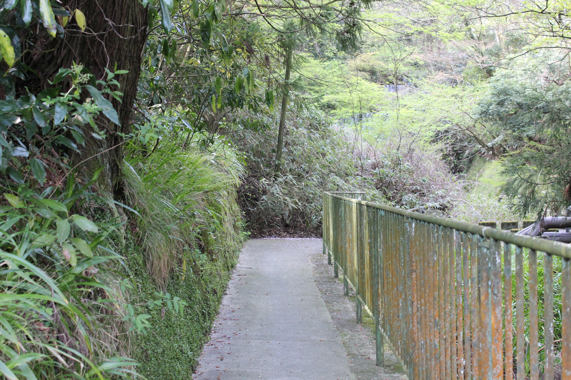 Hakone Guesthouse Toi Zewnętrze zdjęcie