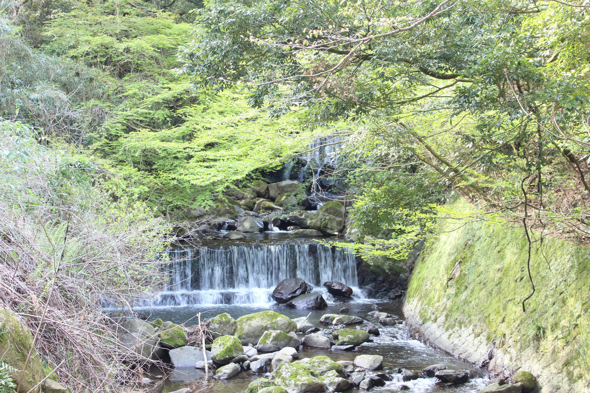Hakone Guesthouse Toi Zewnętrze zdjęcie