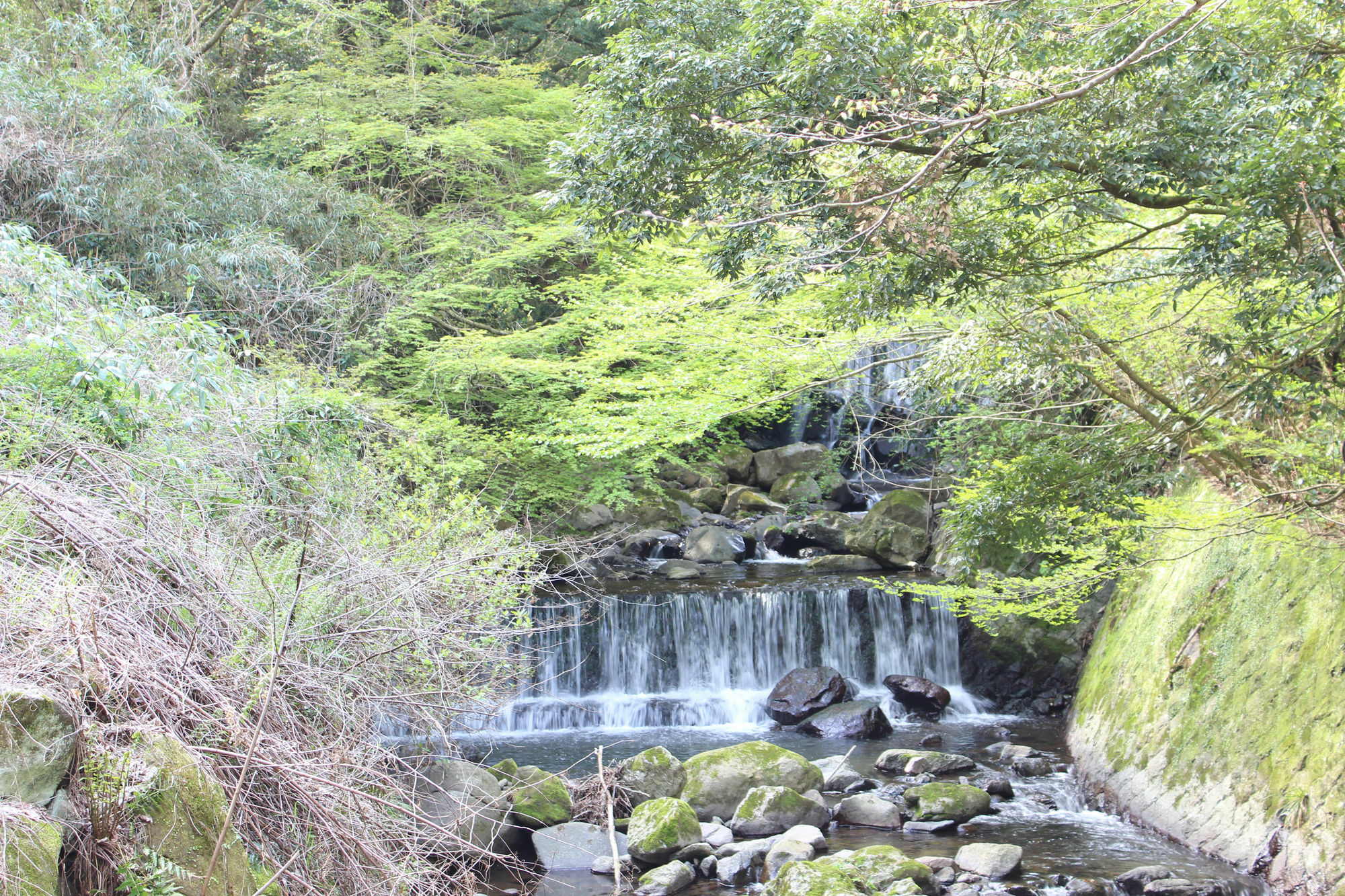 Hakone Guesthouse Toi Zewnętrze zdjęcie